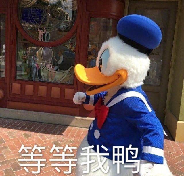 无水印表情包唐老鸭合集 今天不想加油鸭~