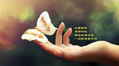 ​许我一世春暖花开