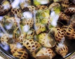 教你在家里自制冰镇花螺，不去饭店也能吃得到美味了