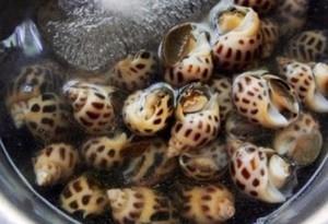 教你在家里自制冰镇花螺，不去饭店也能吃得到美味了