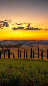 ​对《鸡毛飞上天》中的邱英杰的沉思