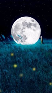 ​手机壁纸364期｜1080p高清全面屏手机壁纸