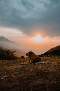 ​M.A.O永远在公益路上