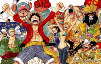 ​海贼王：草帽团人物介绍