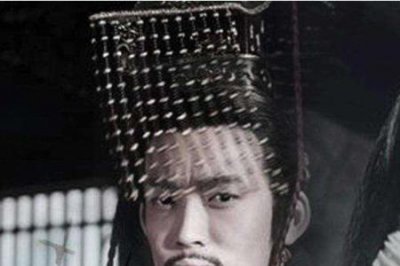 ​秦国名将王龁之死