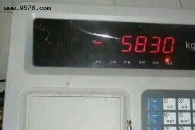 ​怎样防止地磅秤被他人摇控作弊