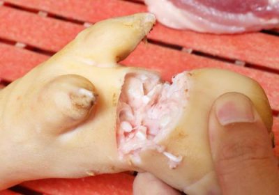 ​猪肉解剖图及各部名