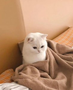 ​中国诗歌流派(十四):边塞诗派及其代表作