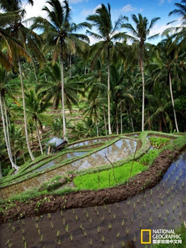 一大波美照来袭，带你领略印度尼西亚的风土人情