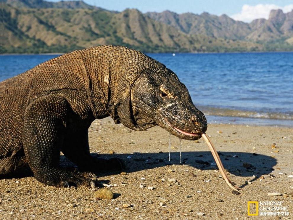 一大波美照来袭，带你领略印度尼西亚的风土人情