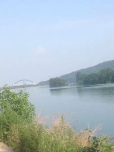 ​农村的传统节日-龙舟节