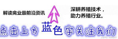 ​螃蟹养殖技术大全