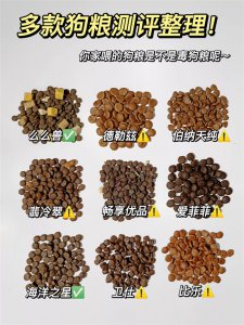 ​十大狗粮测评，你家狗粮是不是毒狗粮