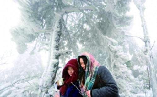 又曝全国冻哭预警，回首2008年冰灾，又一次10年一遇寒潮来袭？