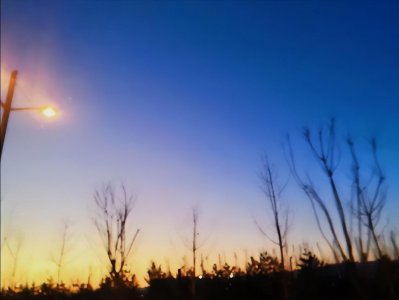 ​你是我患得患失的梦，我却是你可有可无的人