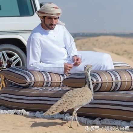 “一千零一夜”中走出的王子哈曼丹，巨大的财富也是巨大的责任！