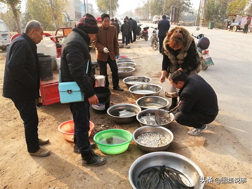 小镇农村街头售卖野生鲤鱼等,黑鱼20元一斤,鲳鱼只卖5元一斤