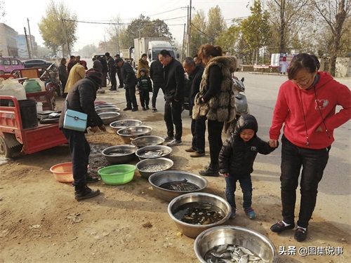 小镇农村街头售卖野生鲤鱼等,黑鱼20元一斤,鲳鱼只卖5元一斤