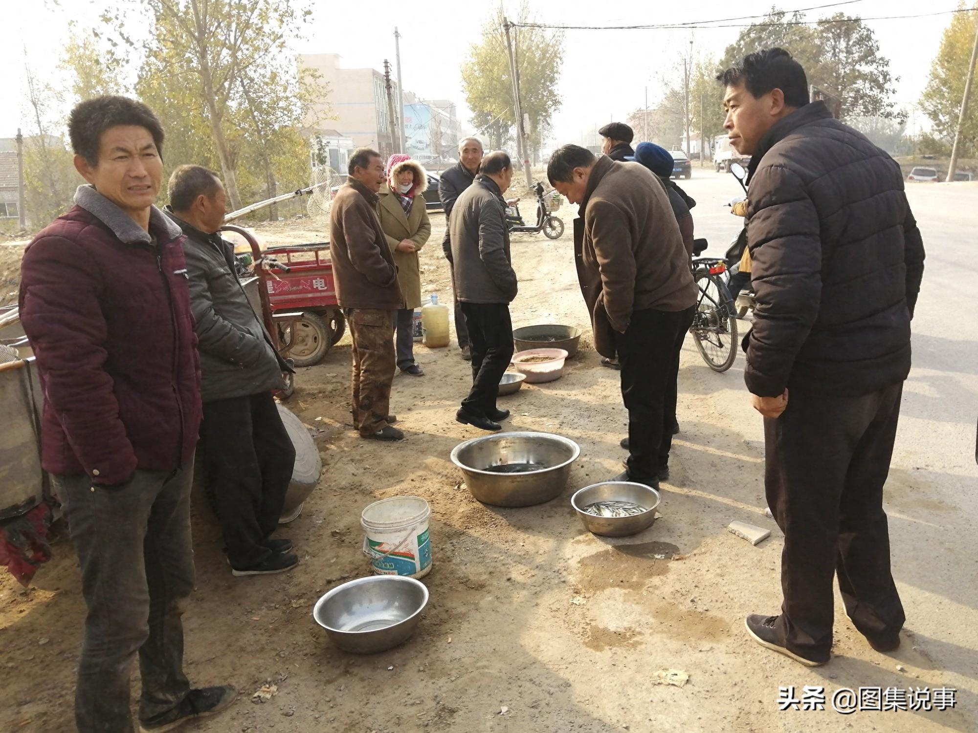 小镇农村街头售卖野生鲤鱼等,黑鱼20元一斤,鲳鱼只卖5元一斤