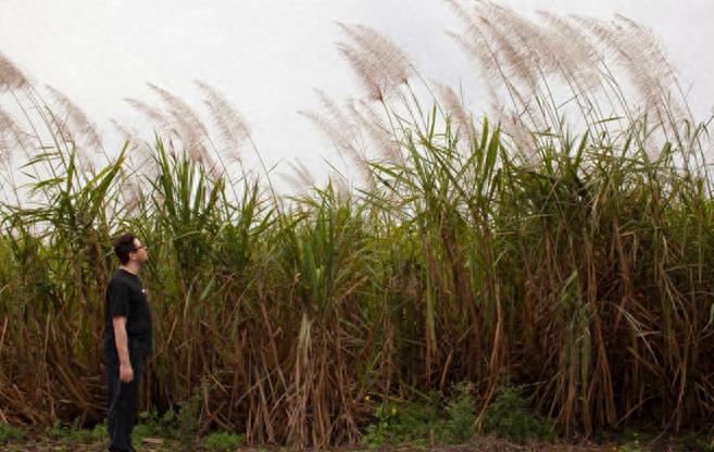 直击美国“恶人谷”的真实生活