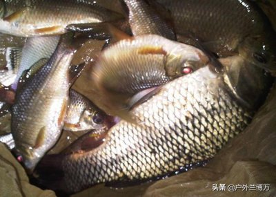 ​想自制钓鱼小药的看过来，手把手教你，学会以后不用花钱买了