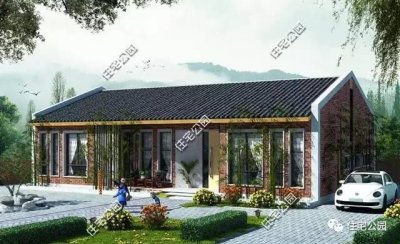 ​10套北方农村自建房户型，这样的平房也可以叫别墅