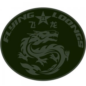 ​揭秘中国南京军区“飞龙特种部队”