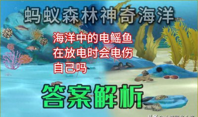 ​电鳐鱼：电击专业户