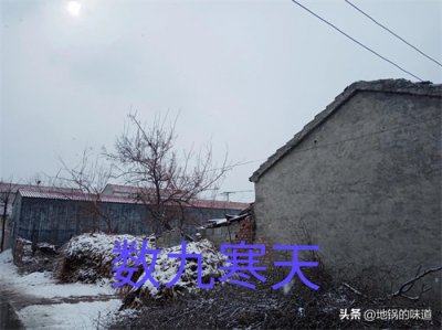 ​天气预报：今年五九不一般，天气会比较冷！看看农谚怎么说