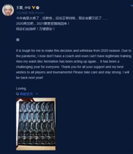 ​重磅！中国网球美女球员王蔷官宣赛季报销 腰伤复发无法训练