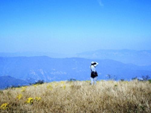 新乡跑马岭地质公园