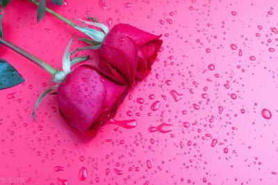 ​携手共度余生的句子