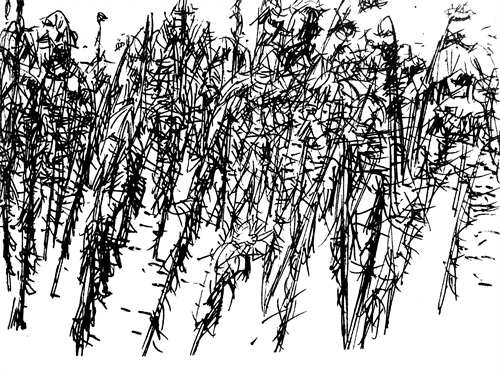 中国美院院长——许江作品欣赏