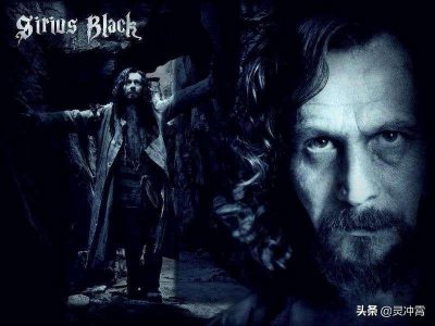 ​小天狼星.布莱克的黑暗之处：帅气外表下的叛逆与狠厉