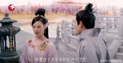 ​三生三世十里桃花：连宋，成玉两三事