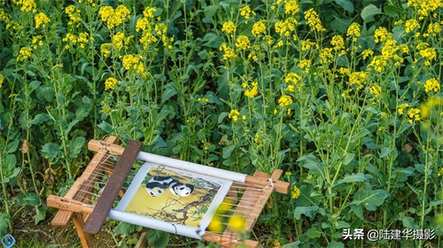 婺源与婺州,别傻傻分不清,后者还是婺绣的发源地