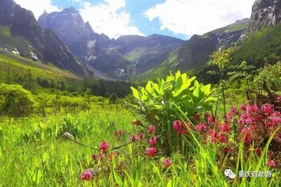 ​重庆出发，精选10处五一自驾胜地随你玩！