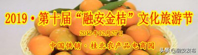 ​「关注」融安的真正的“致富果”