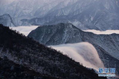 四川牛背山:奇峰云海入画来