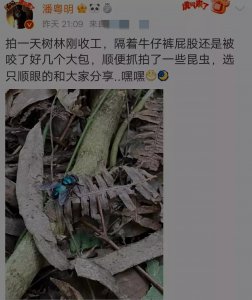 ​“许仙”潘粤明：臭蚊子隔着牛仔裤咬他的屁股，晒图给网友看大包