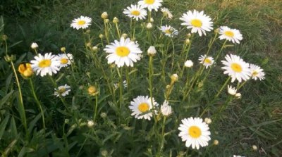 ​有些人，走着走着，就散了