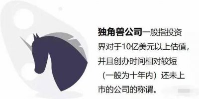 ​什么是独角兽公司？