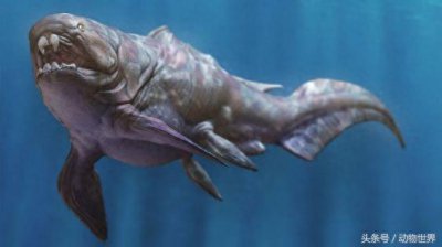 ​远古海洋霸主-邓氏鱼