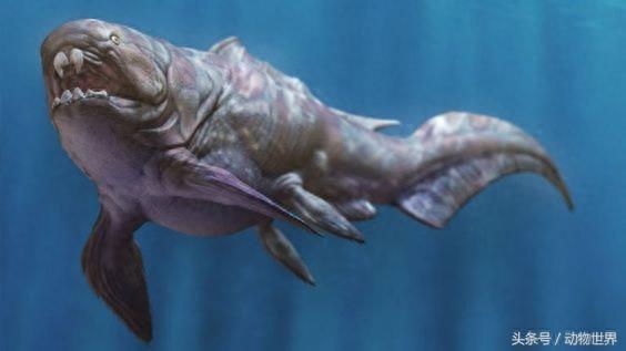 远古海洋霸主-邓氏鱼