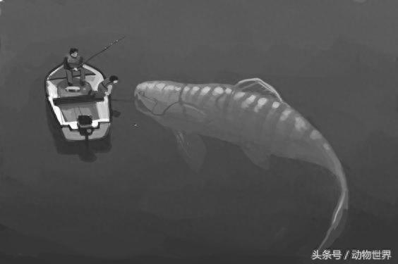 远古海洋霸主-邓氏鱼