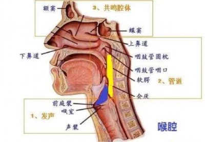 ​七.唱歌的声音位置