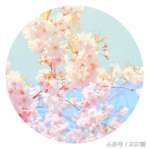 ​身体和心灵总要有一个在路上