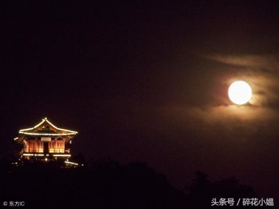 ​愿为西南风，长逝入君怀