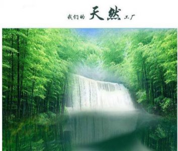 ​科普：正规的竹筒酒价格