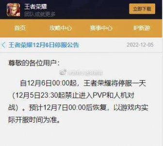 ​王者荣耀停服